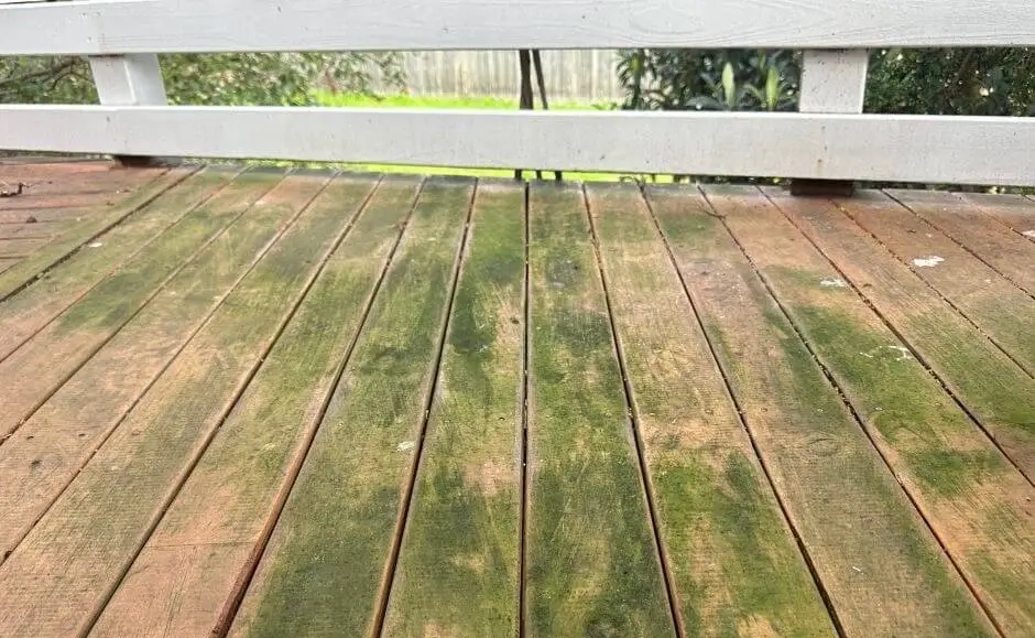 What Causes Mould on Decking?
