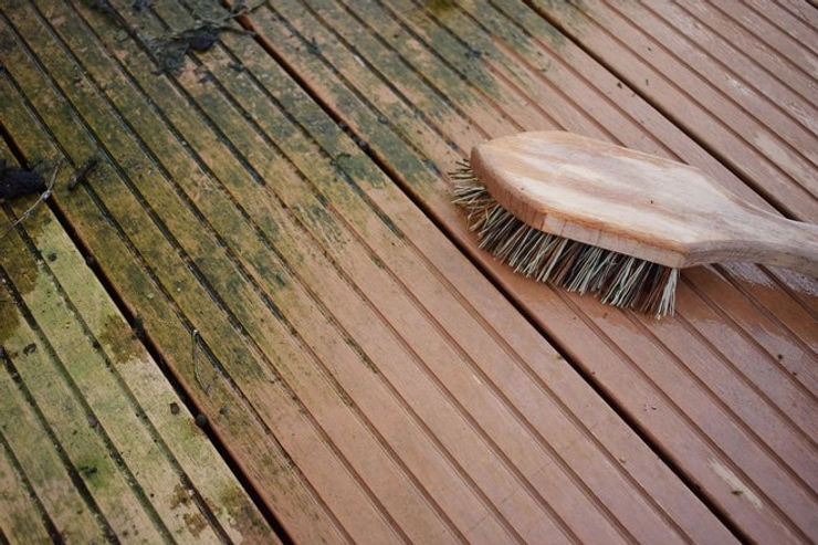 Scrub the Deck