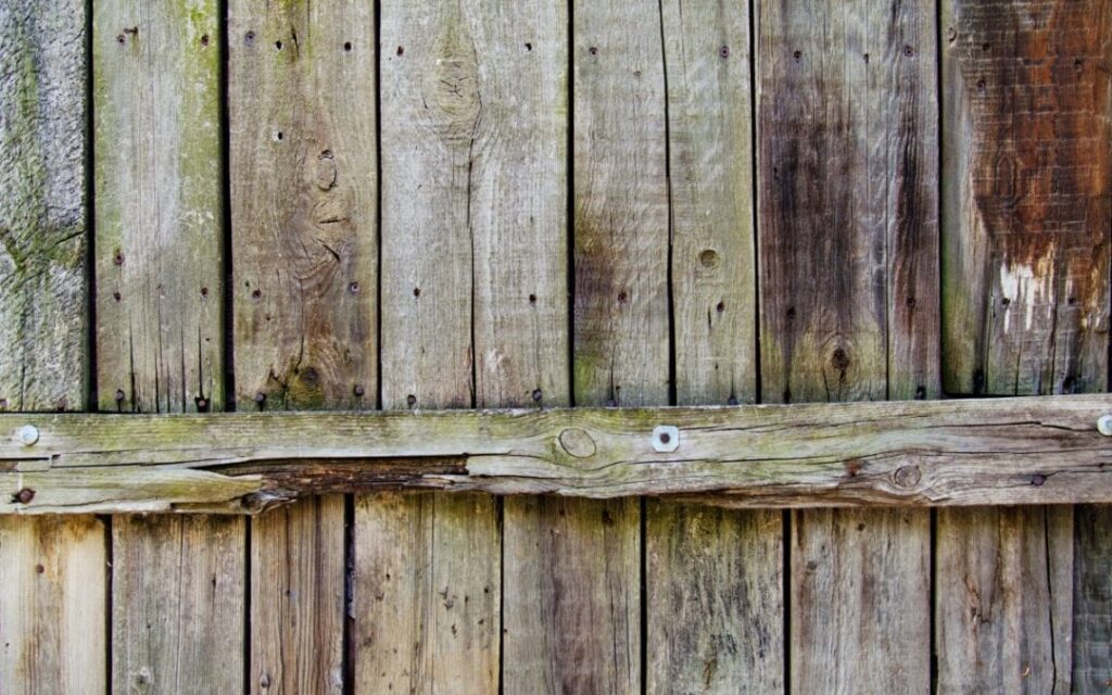 Wood Fence Rotting